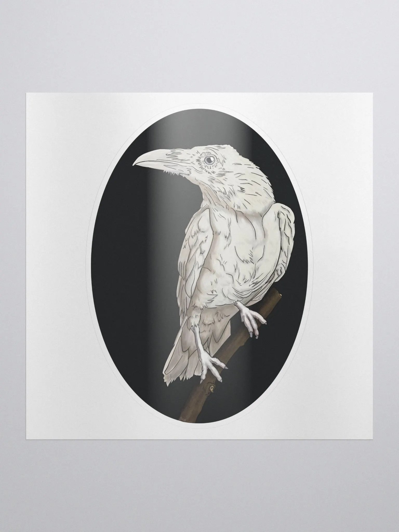 Leucistic Raven Sticker product image (1)