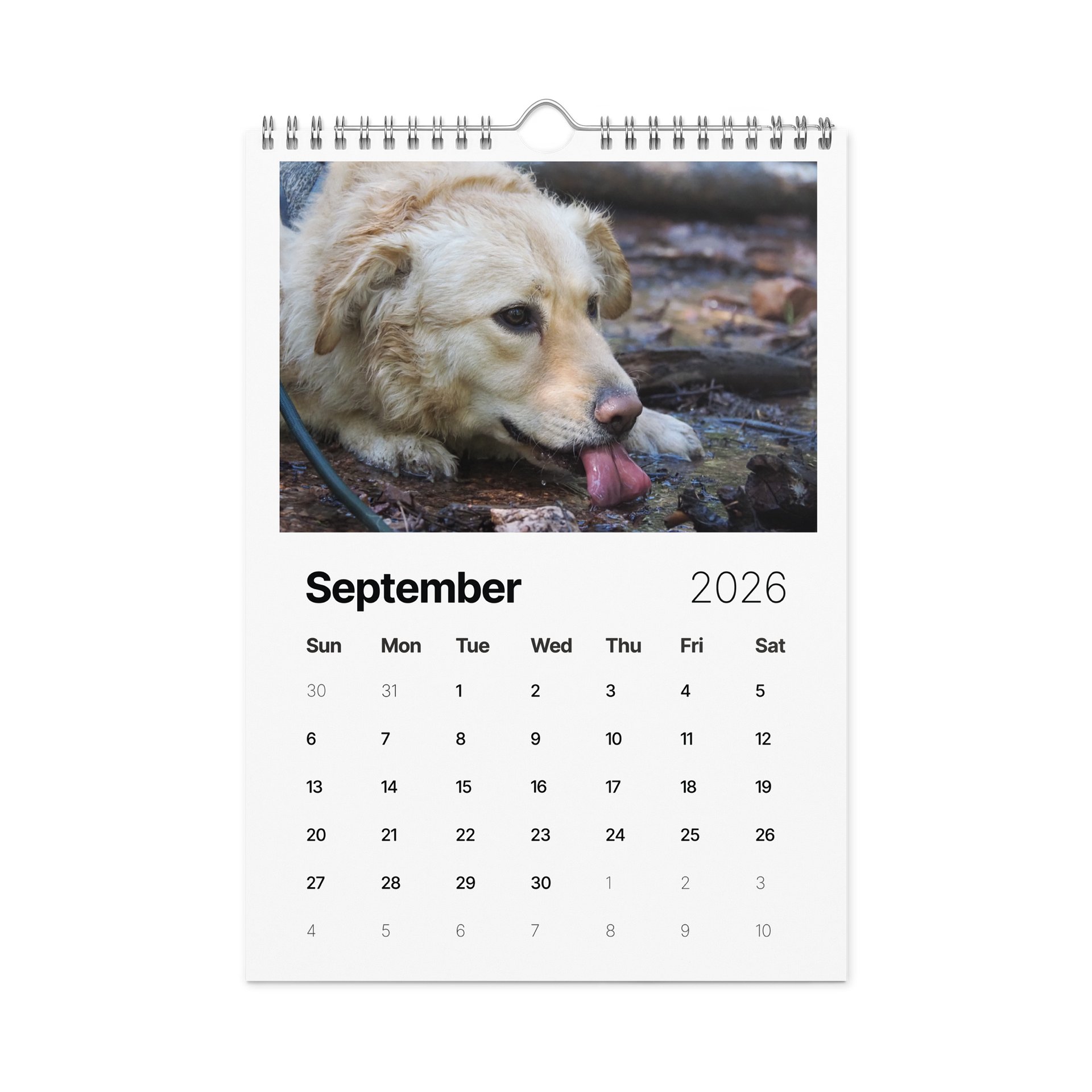 Milo's Life 2026 Wall Calendar product image (12)