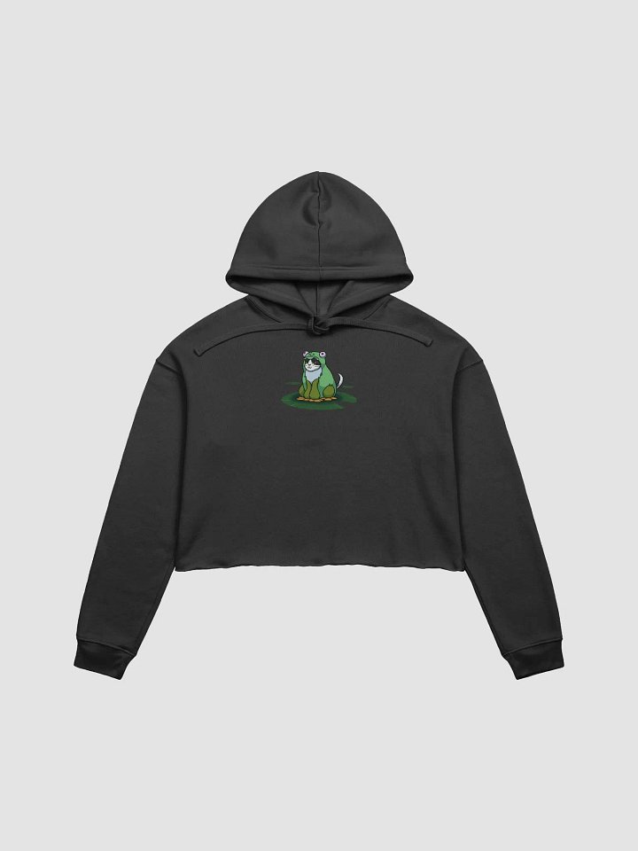 Beeg Frog Crop Top Hoodie product image (2)