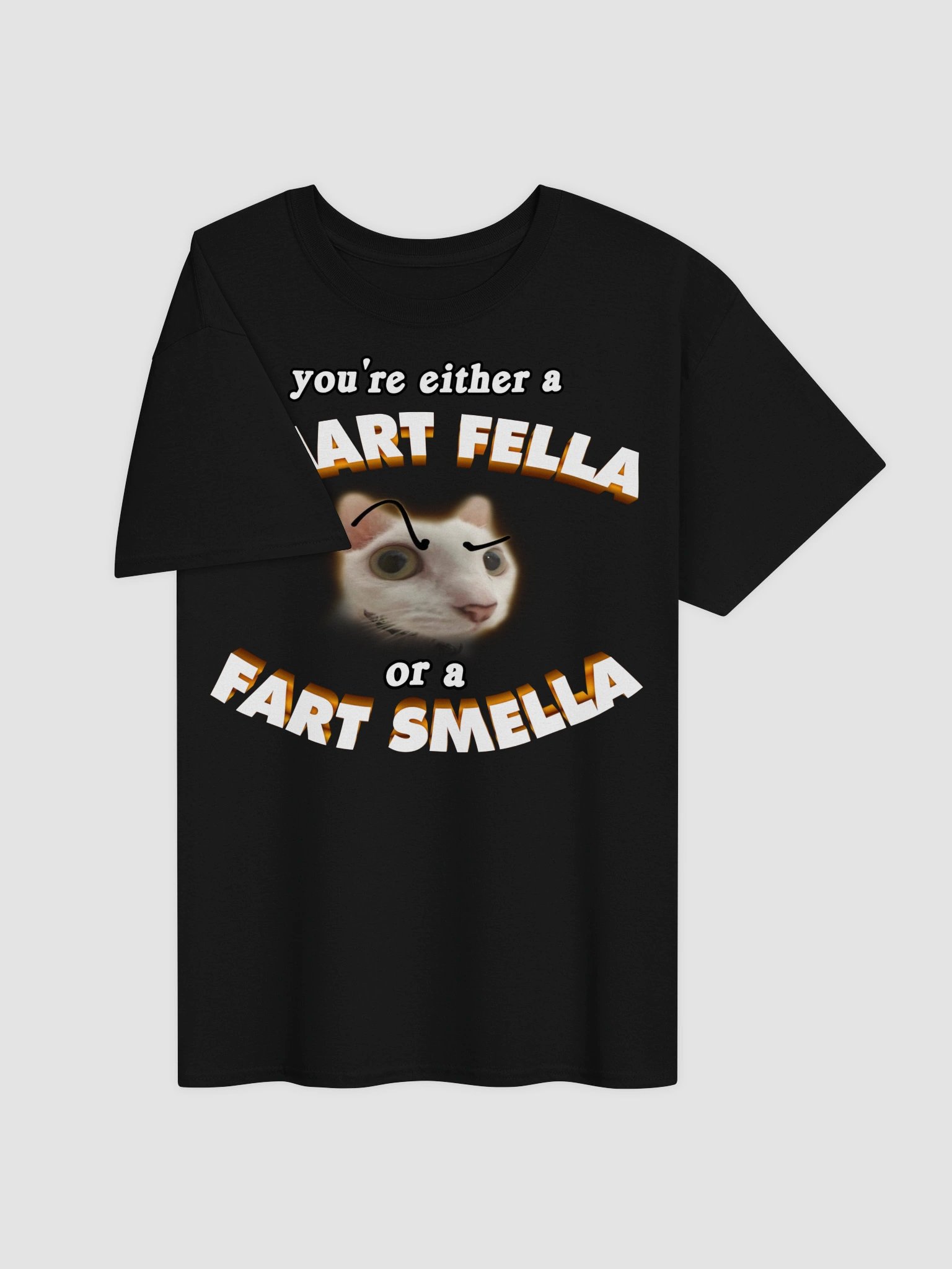 You're either a smart fella or a fart smella T-shirt product image (7)