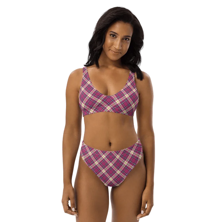 Raspberry Pink and Navy Plaid Bikini product image (1)