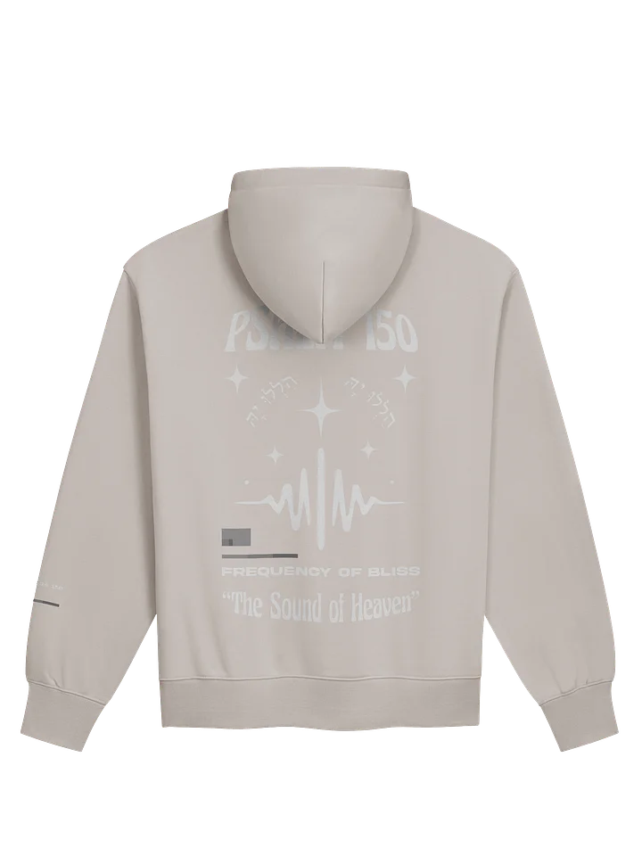 PSA 150 Heavy Hoodie product image (2)