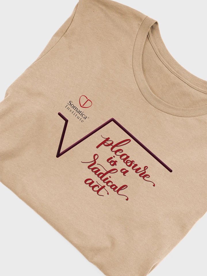 Pleasure is a radical act T-Shirt product image (2)