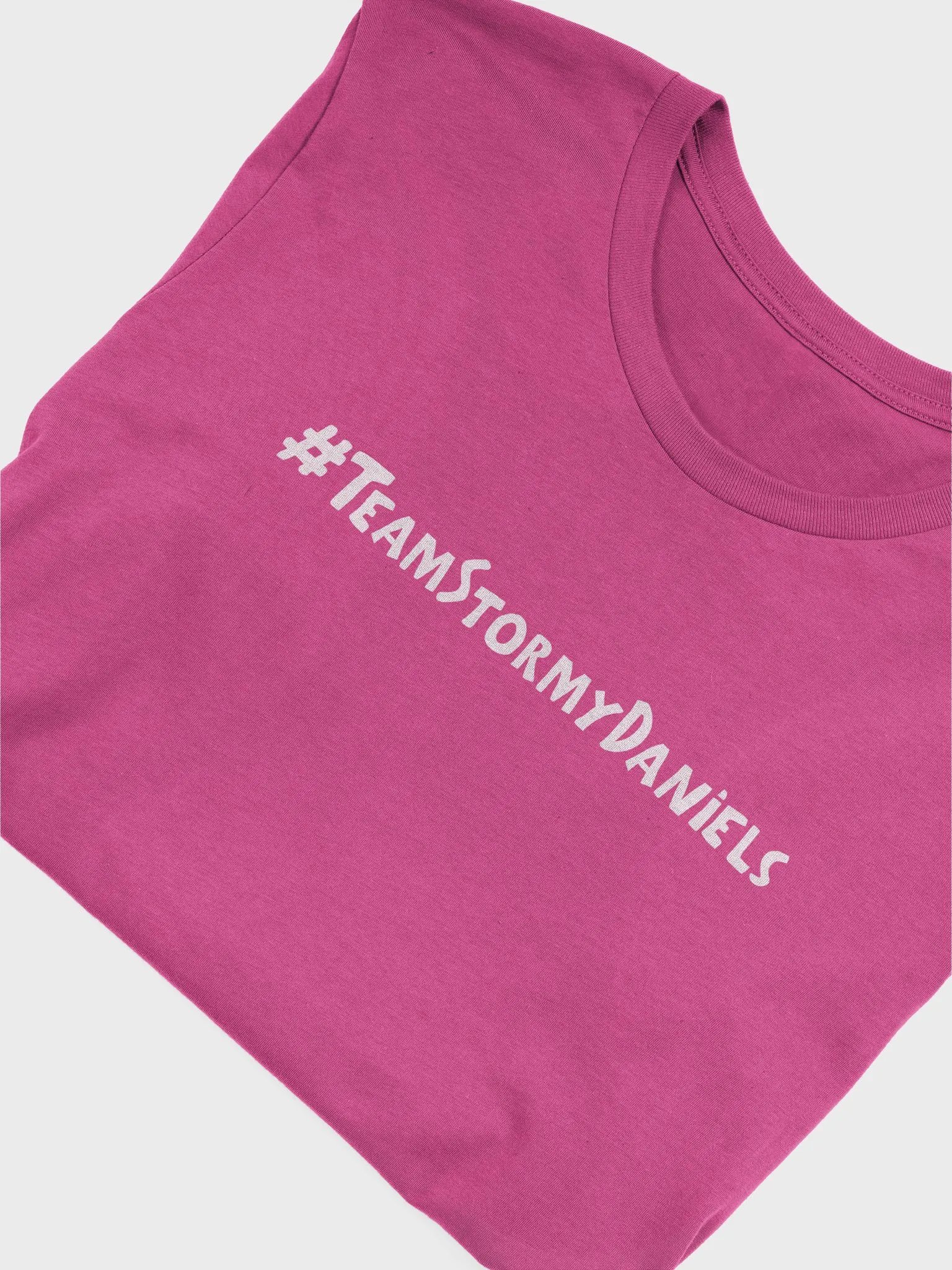 #TeamStormyDaniels product image (4)