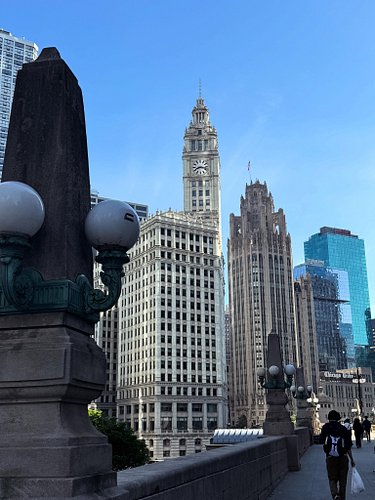 Early morning wanderings across Chicago to get over the old jet lag blues! 🤣
Always a stark contrast to come from the jungles...