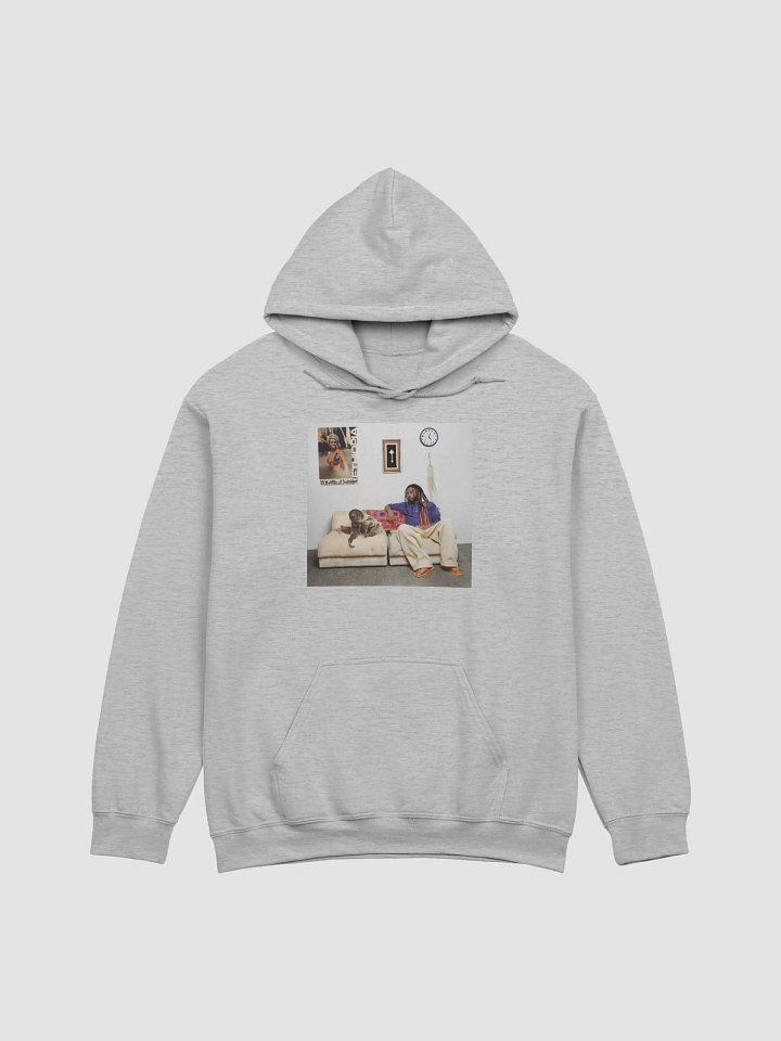 13 Months of Sunshine Aminé Hoodie product image (25)