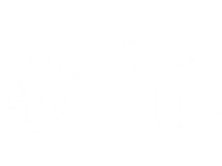 N3BST4R
