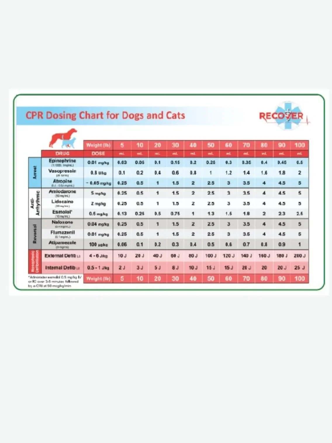 Vet/Vet Tech/Vet Nurse Badge Cheat Sheets product image (5)