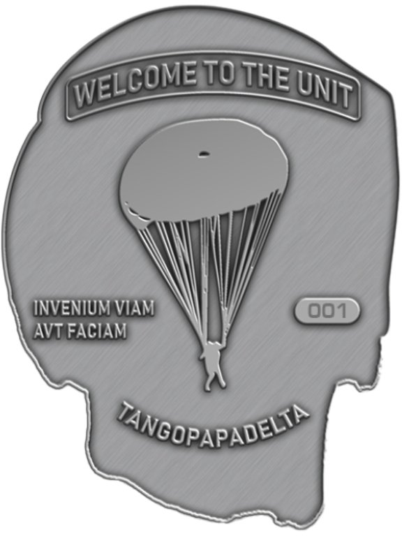 THE Unit Challenge Coin product image (2)