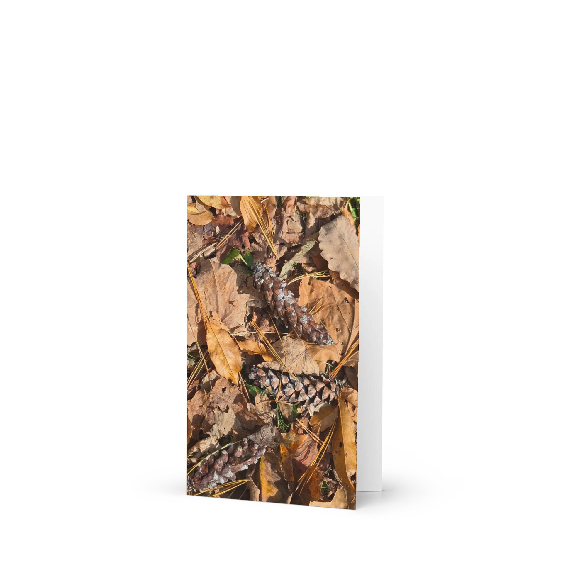 Autumn Whispers (blank) product image (1)