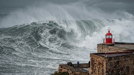 Big Waves Nazaré Members