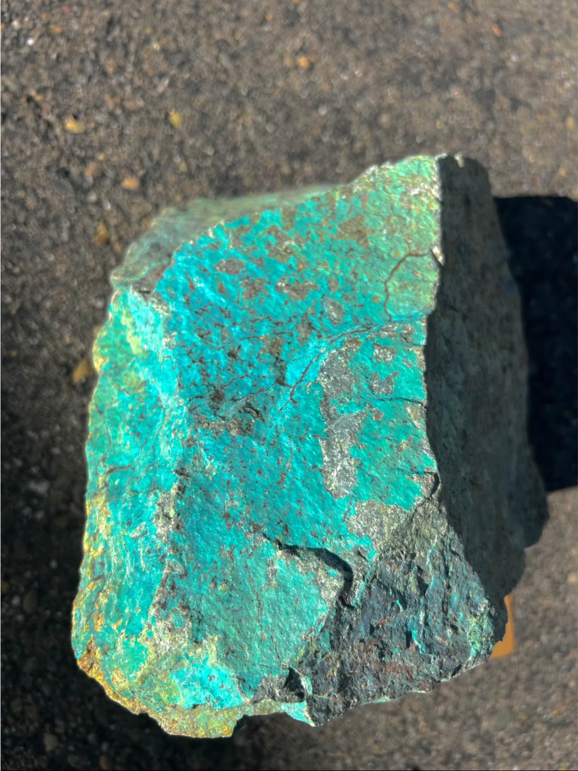 40 Pound - (Museum Grade) Chrysocolla product image (4)