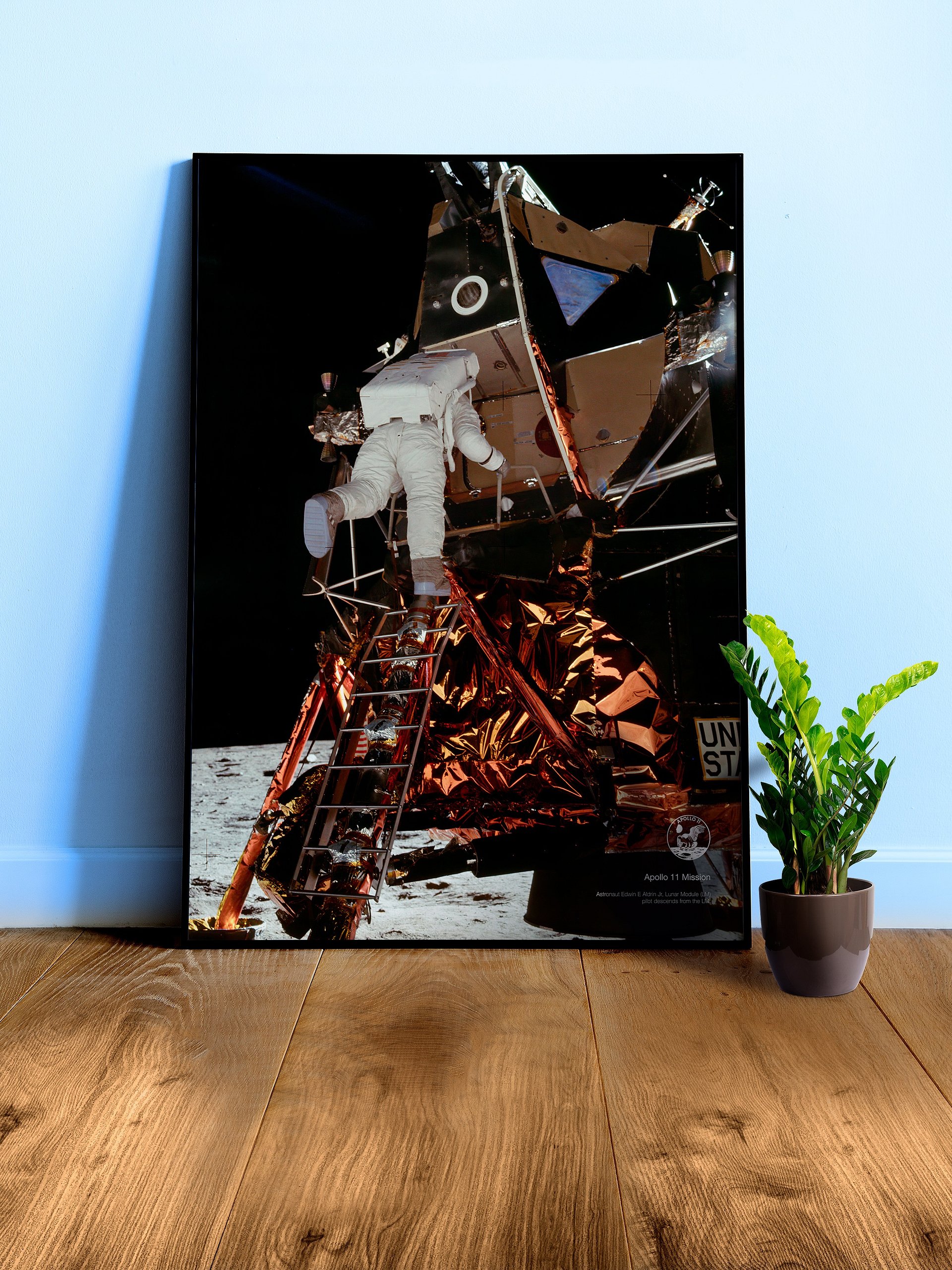 NASA Apollo 11: Edwin Aldrin and Lunar Module, 1969 — space poster, space art, photo poster, NASA print, space wall decor product image (3)