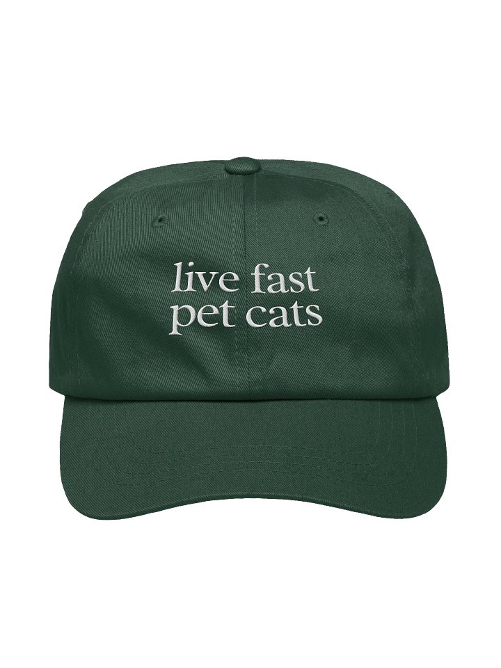 Live fast pet cats hat product image (2)