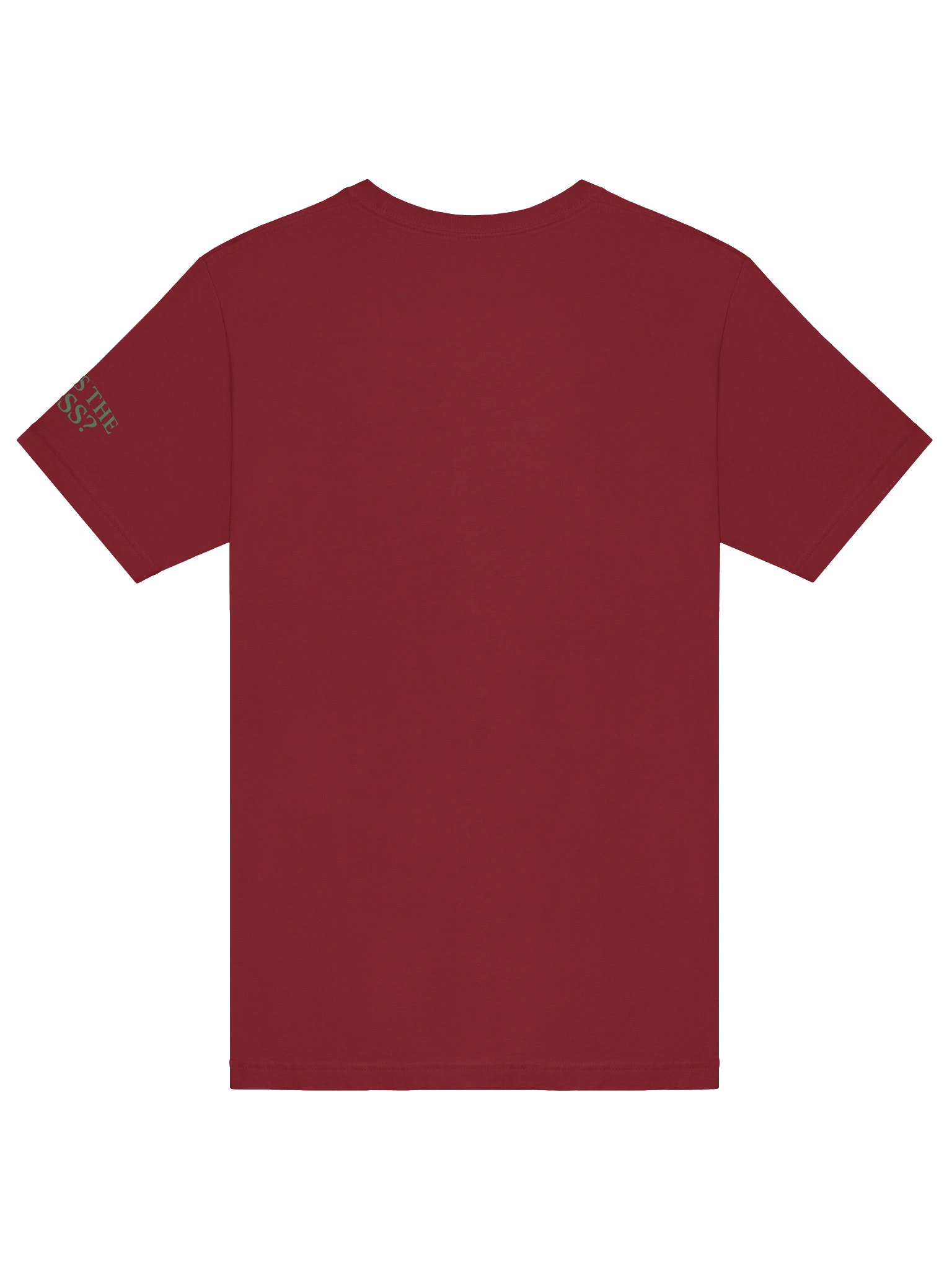 ROUND 42: ABDUCTION DENIED TEE product image (6)