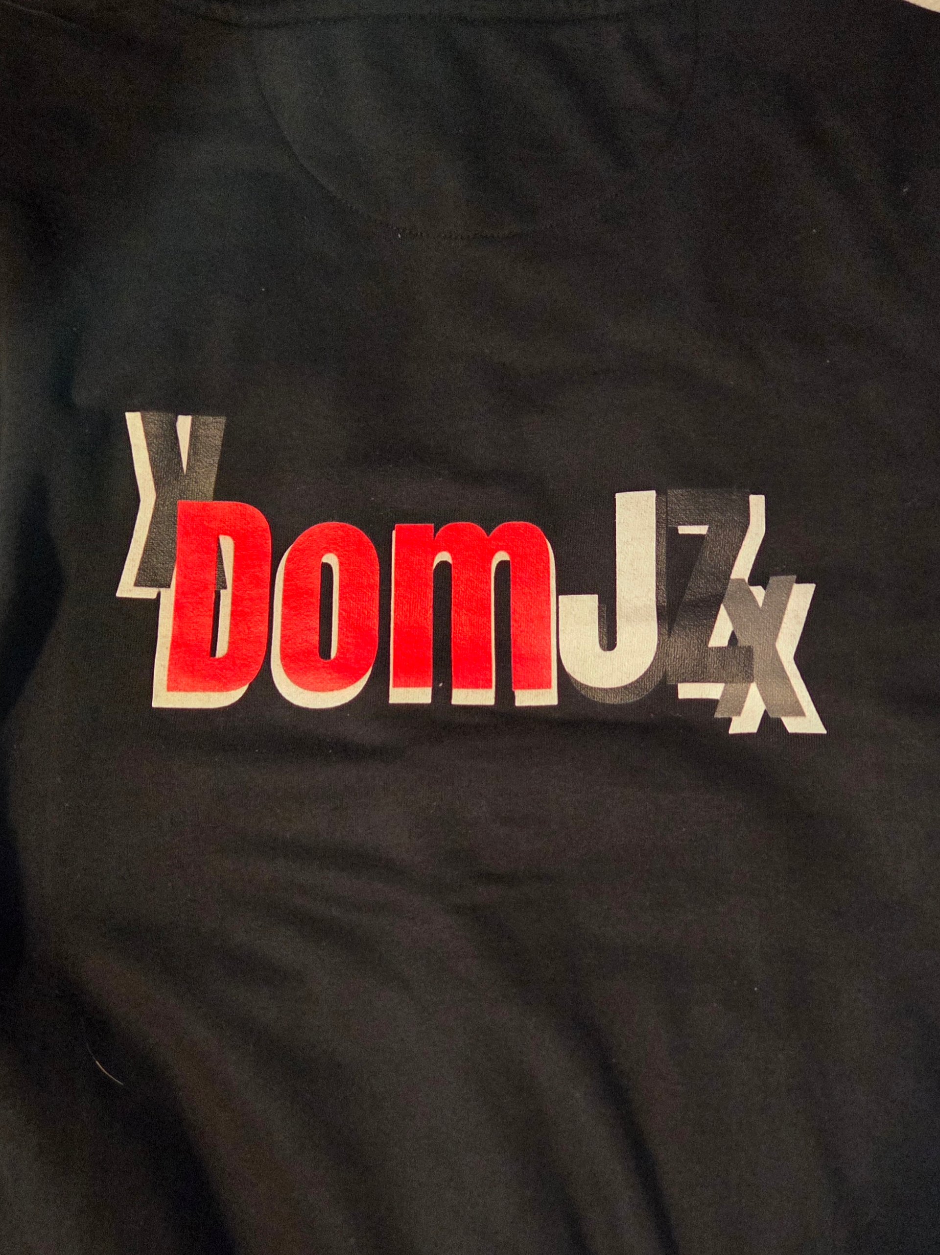 DomJZ PFP & Logo Graphic Hoodie product image (4)