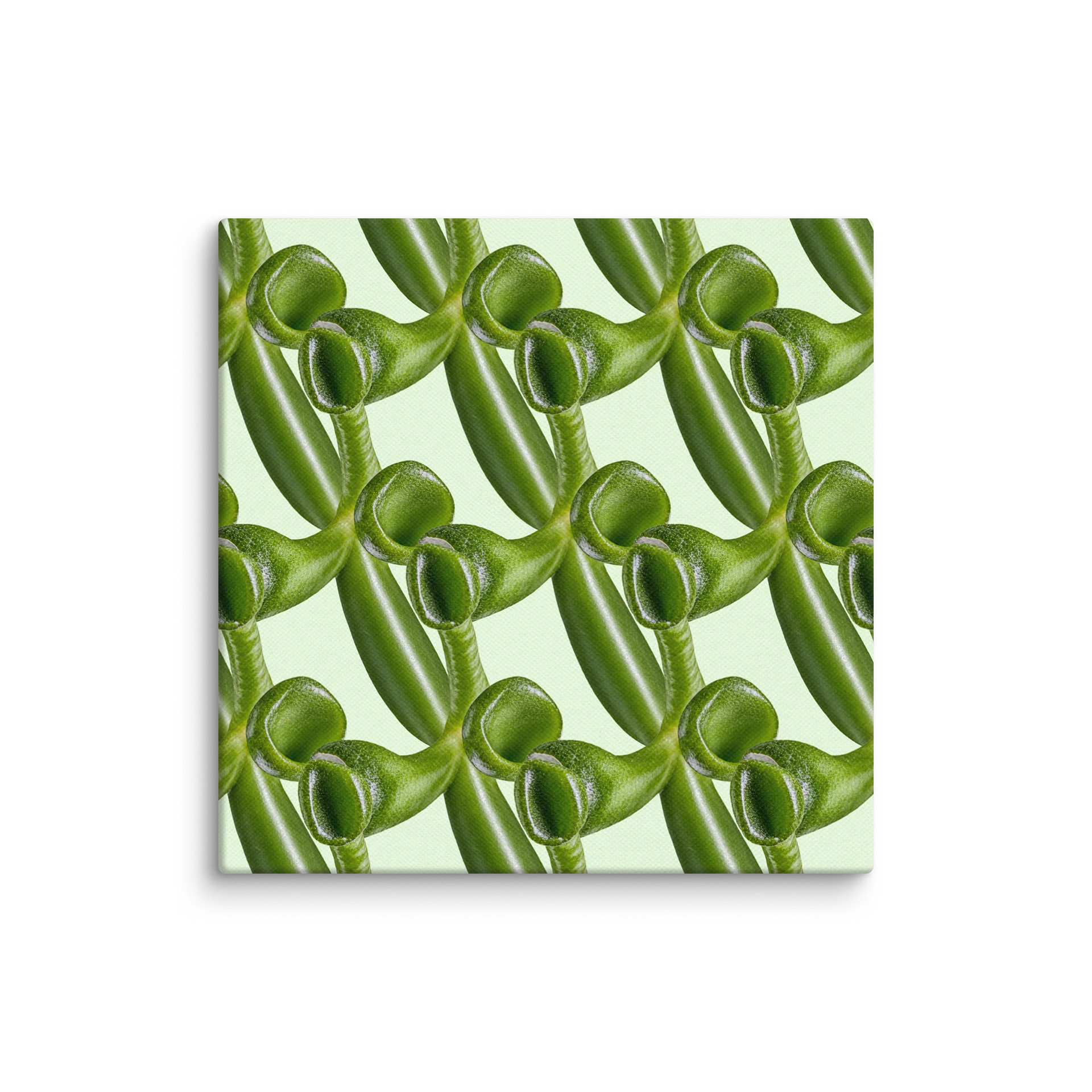 Gollum Jade Succulent Pattern Canvas – Living Patterns product image (1)