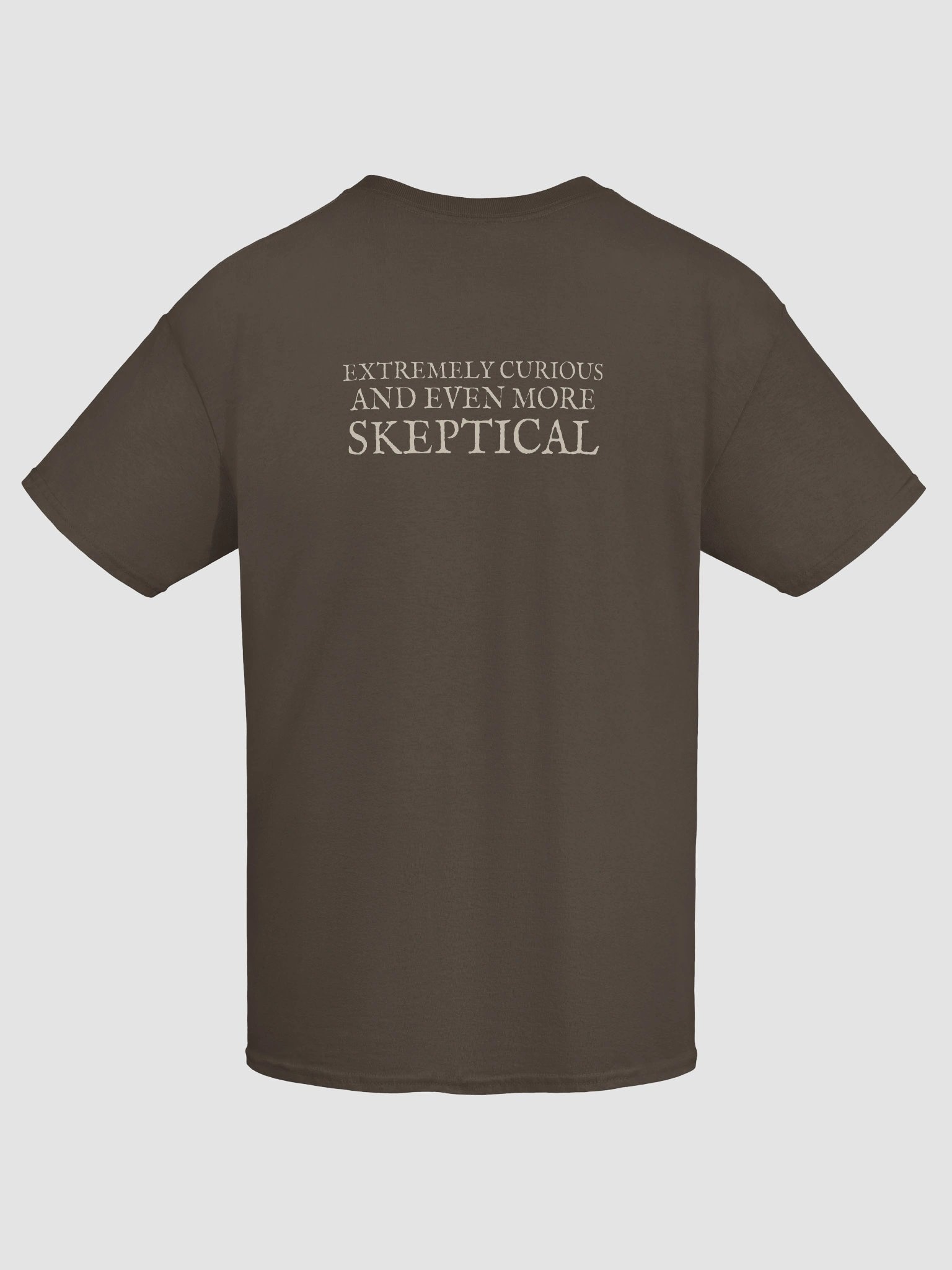 Tea Party Alice + Extremely Curious and Even More Skeptical Heavyweight Cotton T-Shirt, Original John Tenniel Illustration product image (7)