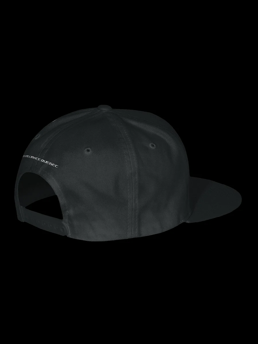 Yupoong Snapback | Brodé product image (2)