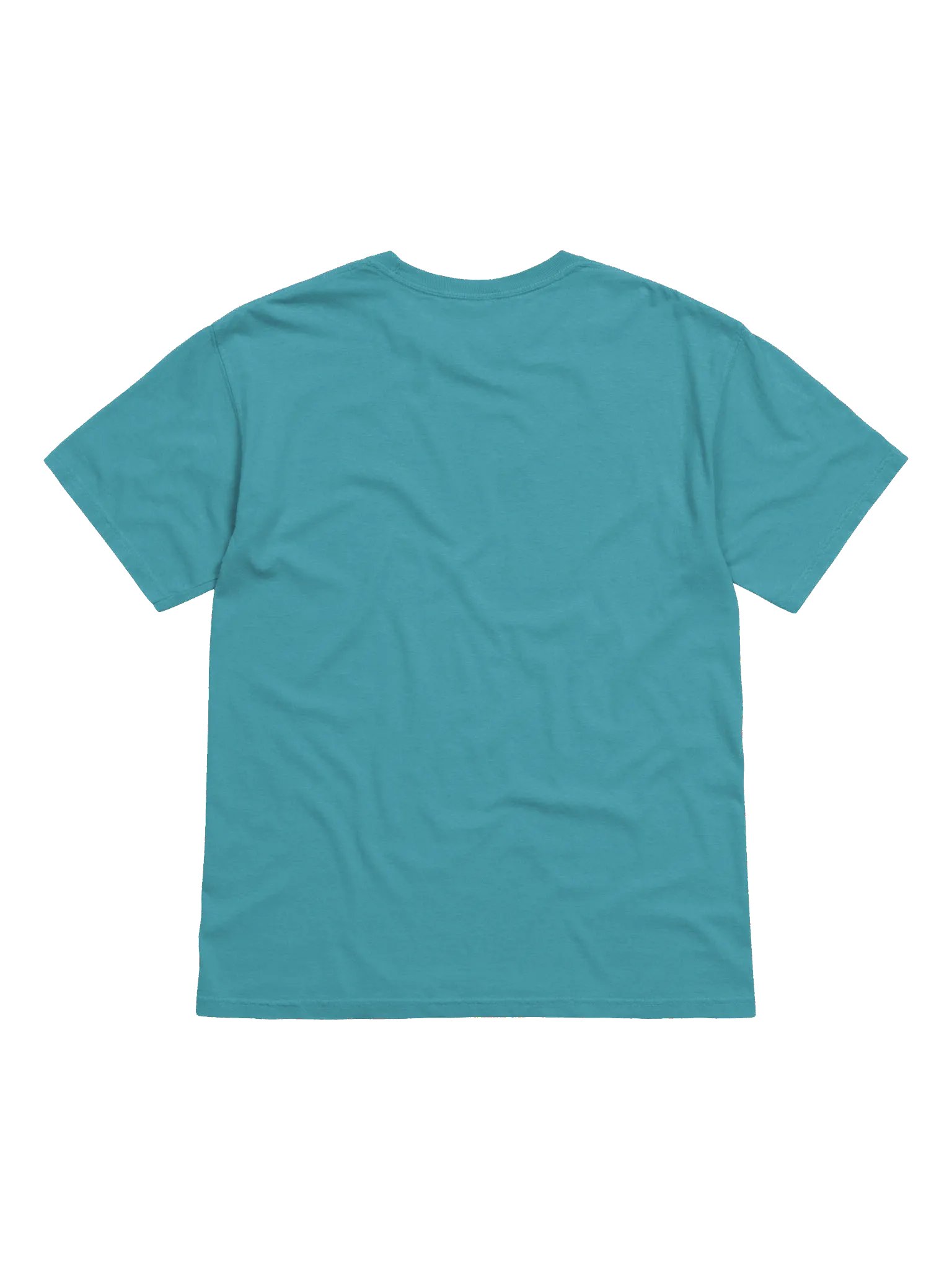Op Panel - Embroidered Tee product image (4)