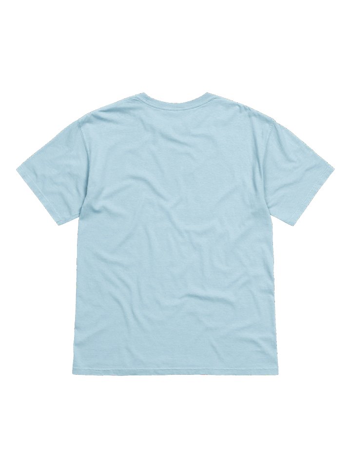Altar It Relaxed Fit heavyweight T-Shirt product image (22)