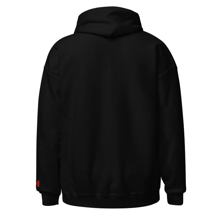 JDMT Classic Logo Hoodie | Embroidered product image (2)