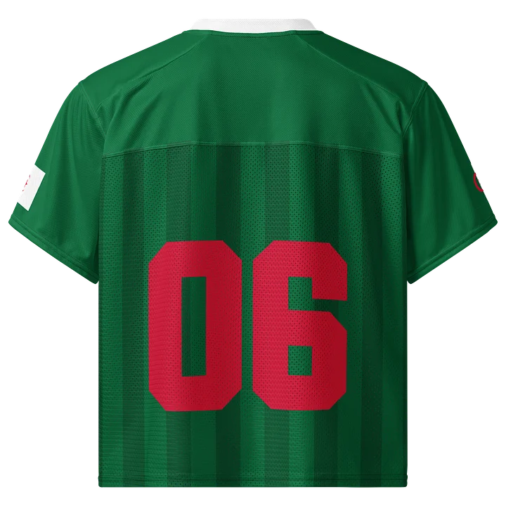 Algeria Boxy Sports Tee product image (2)