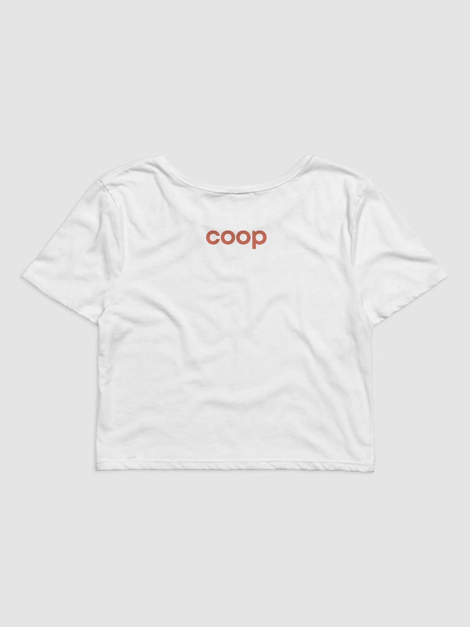 Chick Next Door Cropped Tee product image (2)