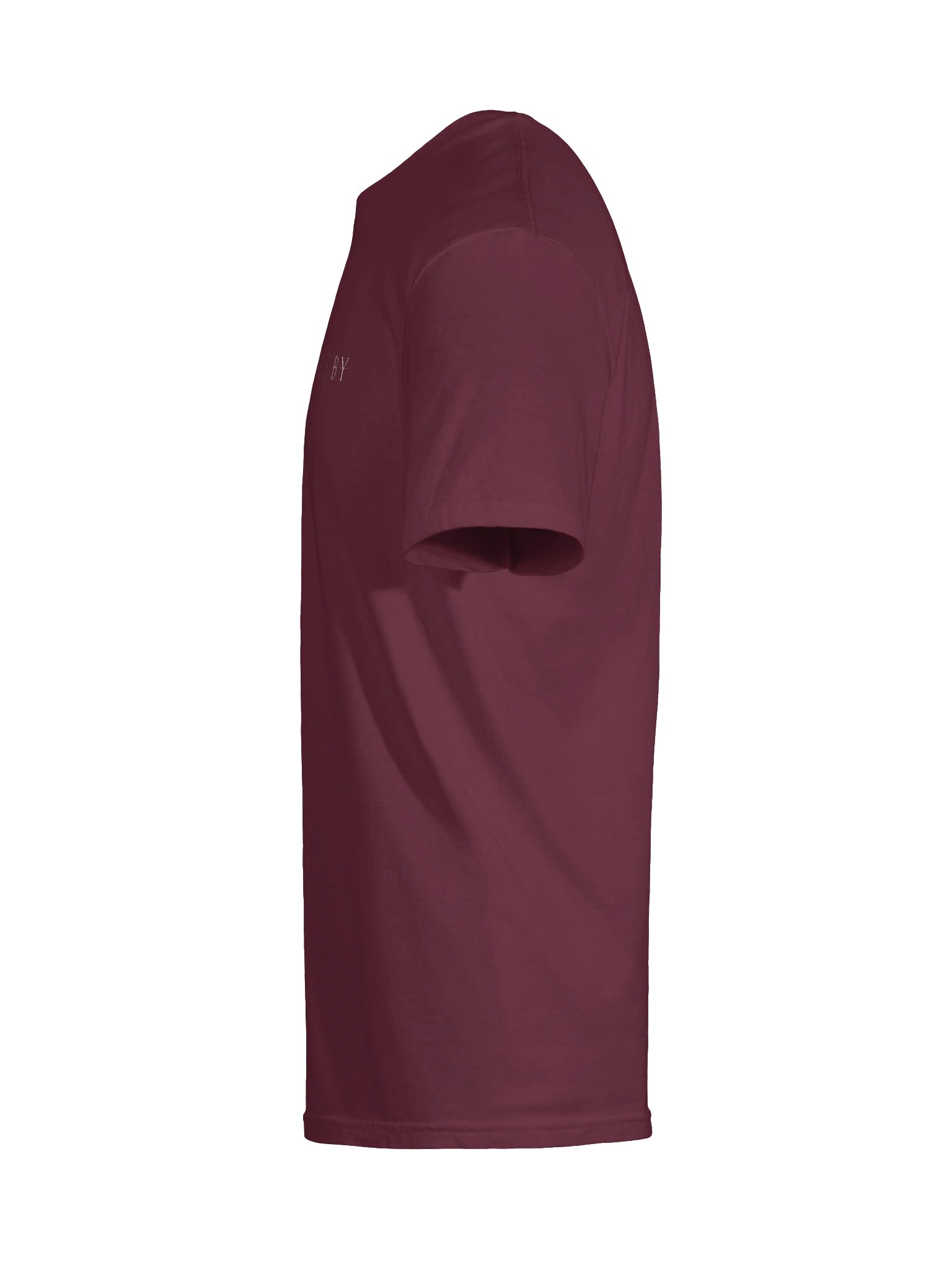 Basic Scoby Tee product image (9)