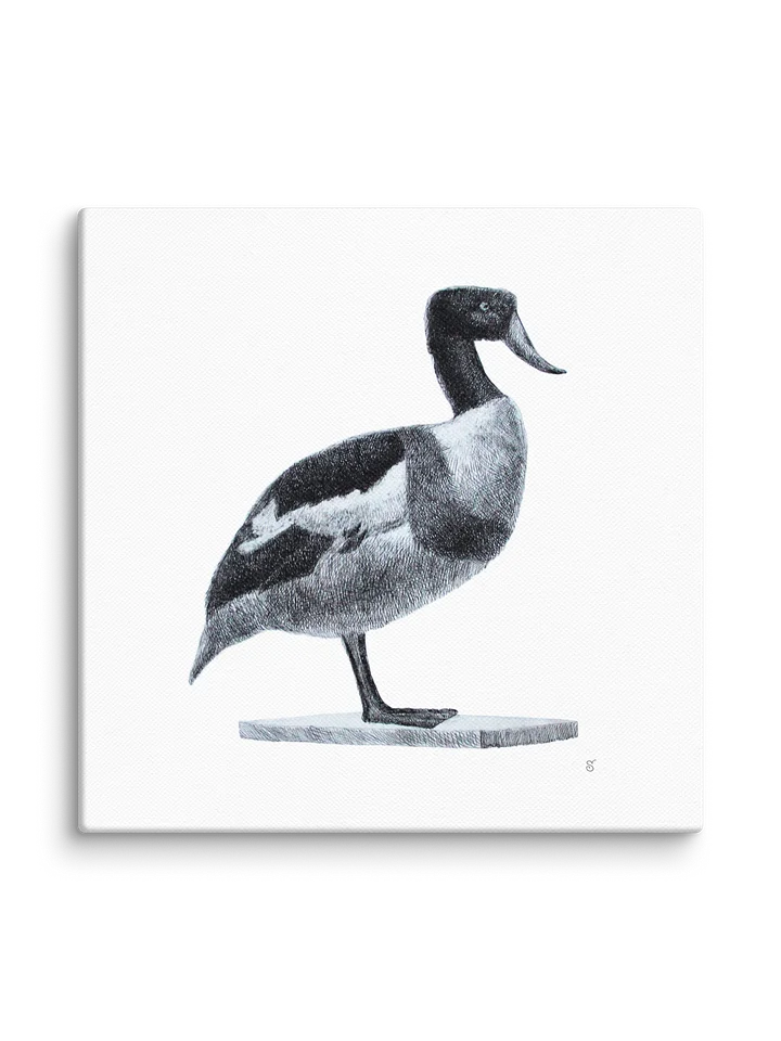 Blank Canvas: Unleash Your Artistic Vision - Duck product image (2)