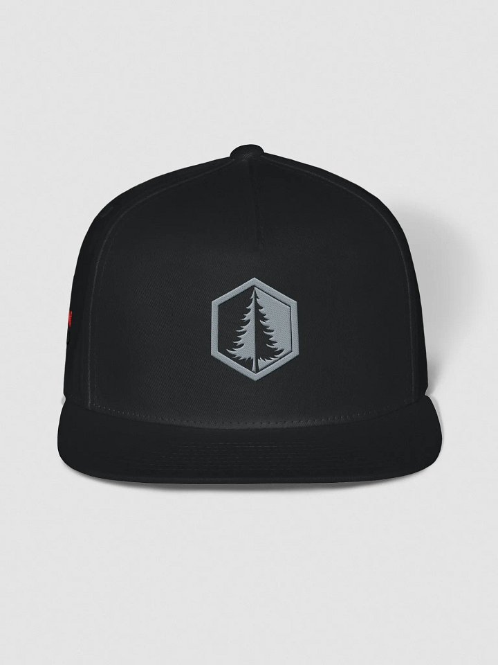 Snap Back (Grey Logo) product image (6)