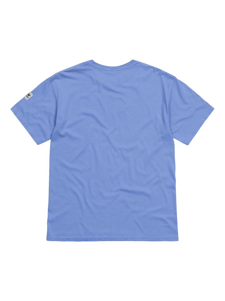Why Are People Allowed to Be Stupid Graphic T-Shirt product image (2)