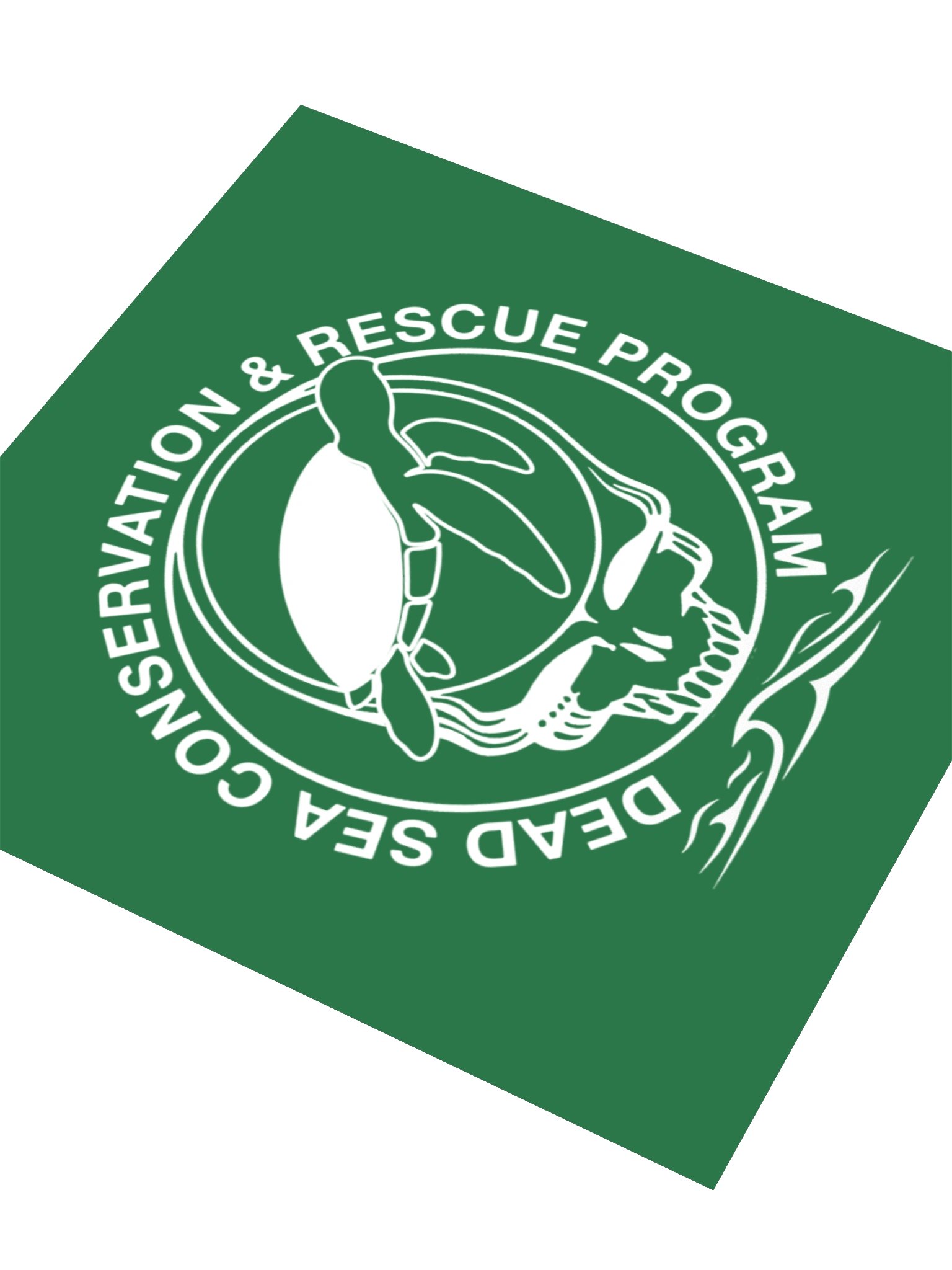 TURTLE CONSERVATION STICKER product image (3)