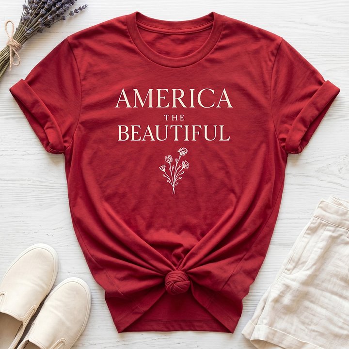 America 250: "America IIII" Organic T-Shirt product image (1)