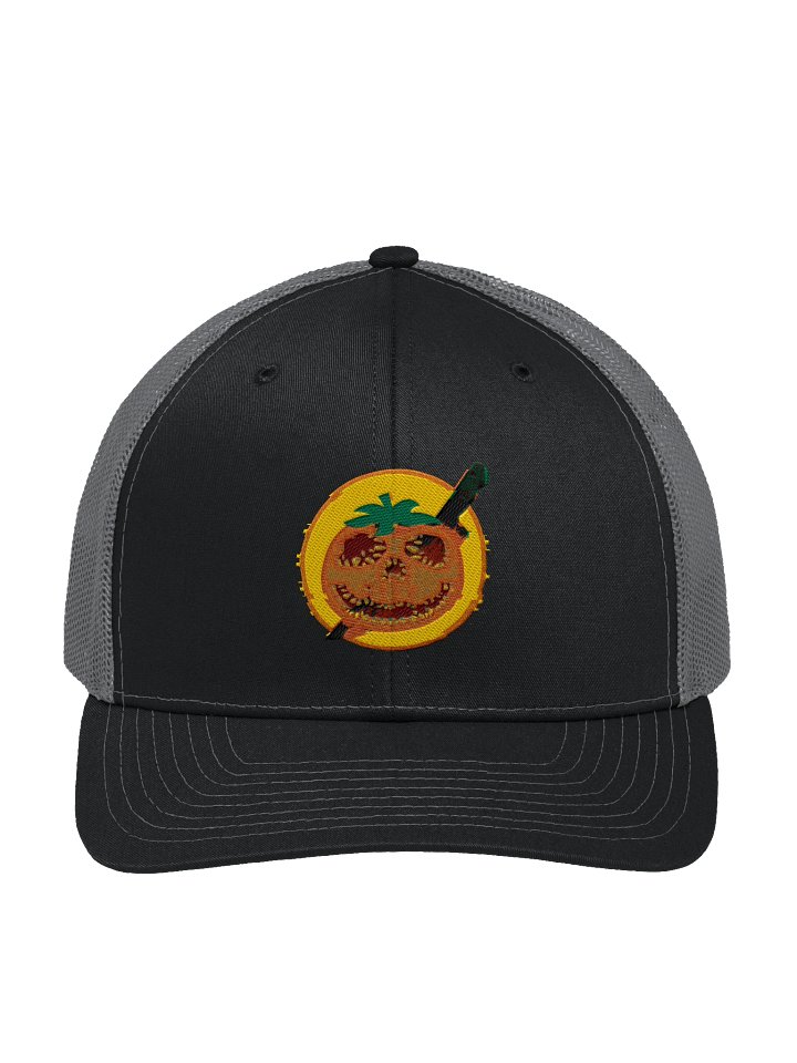 Certified Forgotten Vintage Hat product image (1)