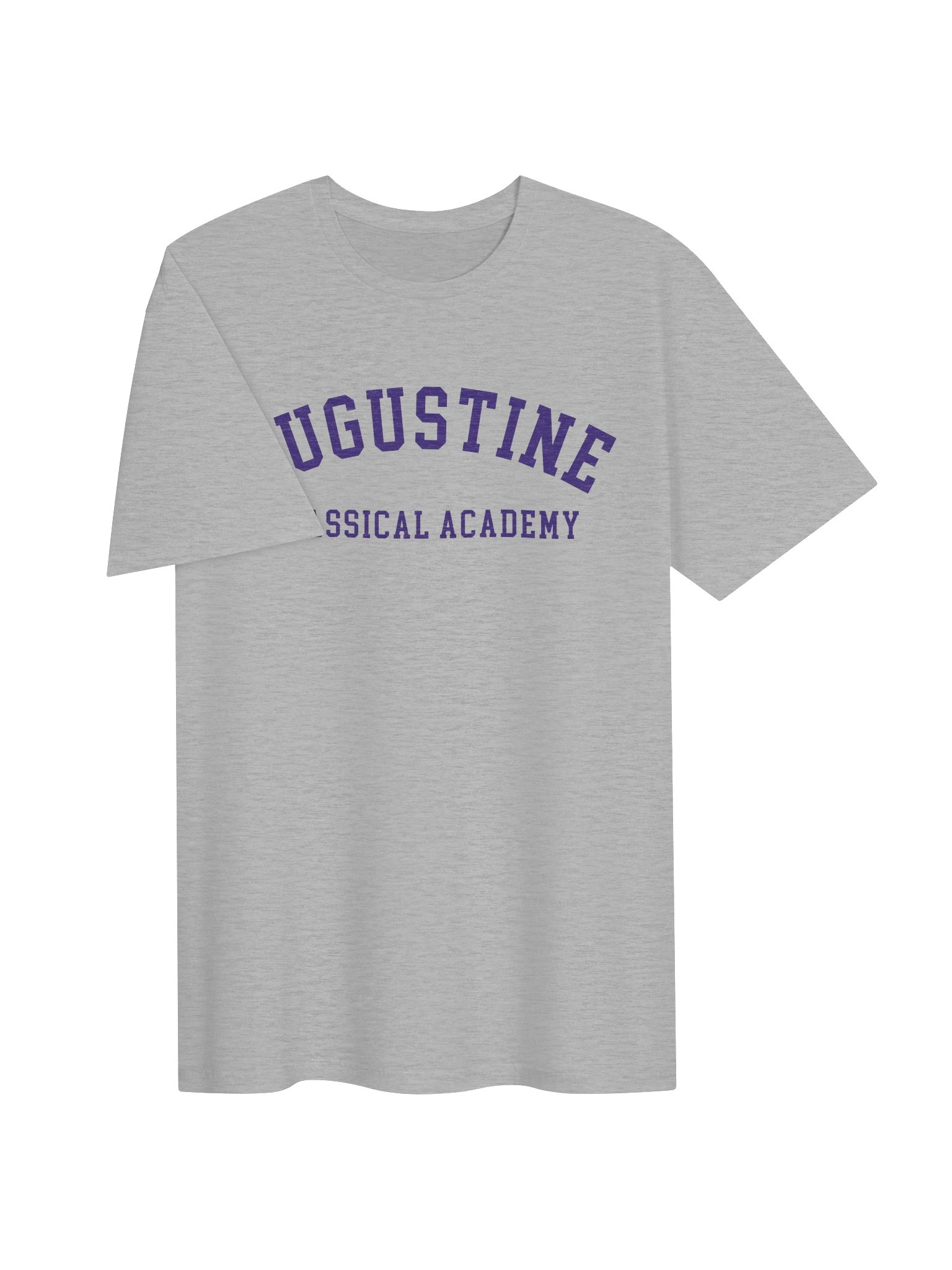 ACA T-Shirt - Gray product image (3)