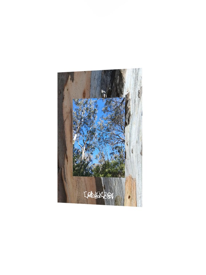Bark on Bark product image (10)