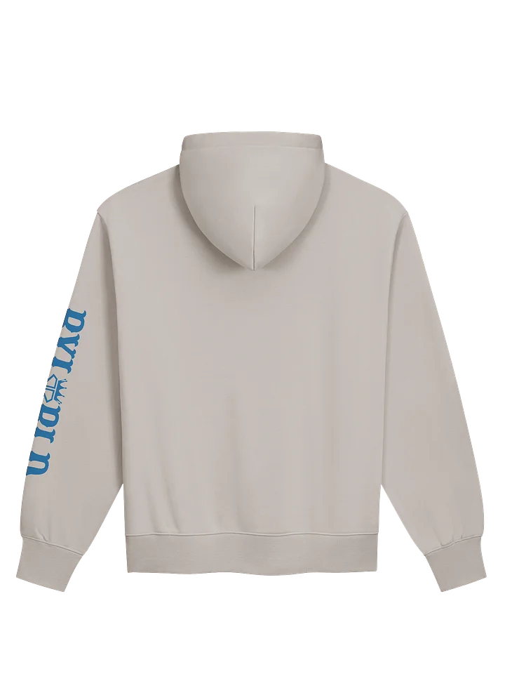 1776 USA HOODIE product image (2)