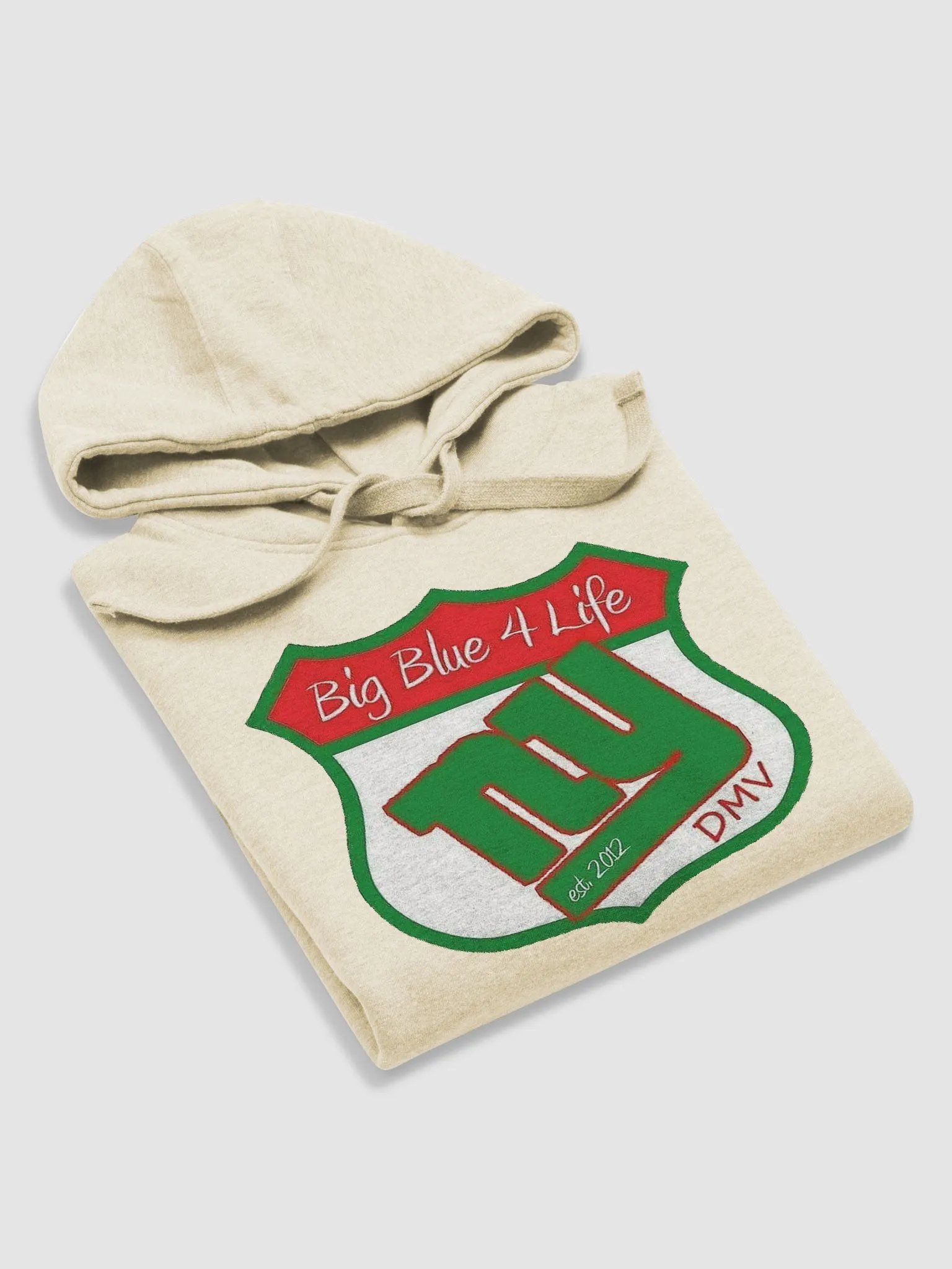 BB4L Holiday Hoodie product image (5)