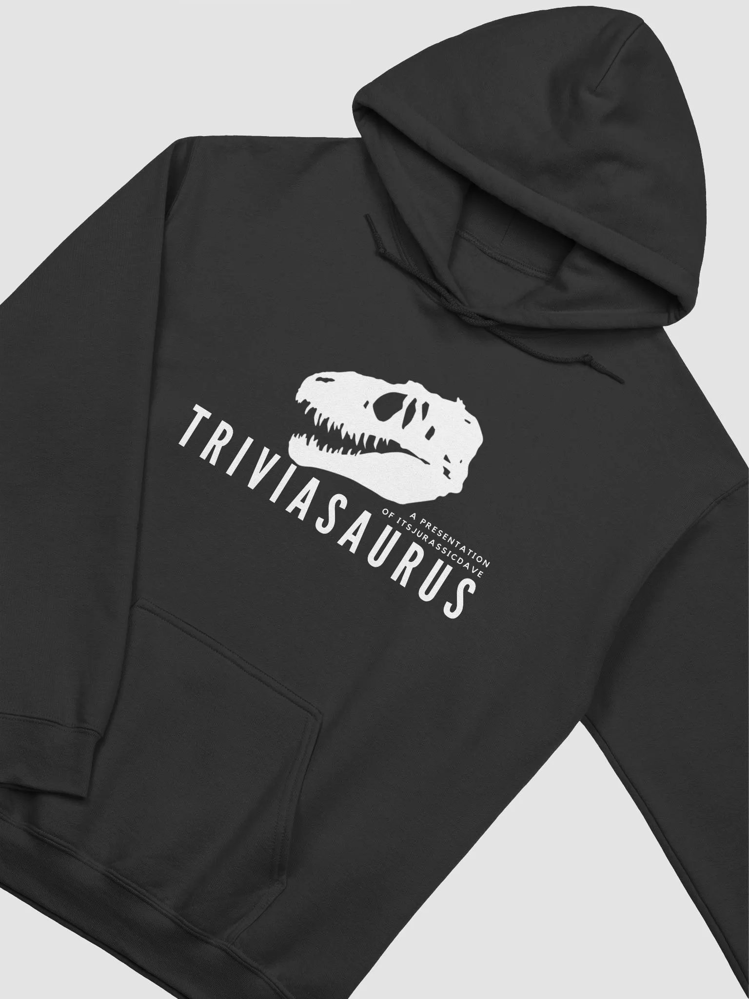 Triviasaurus Hoodie product image (2)