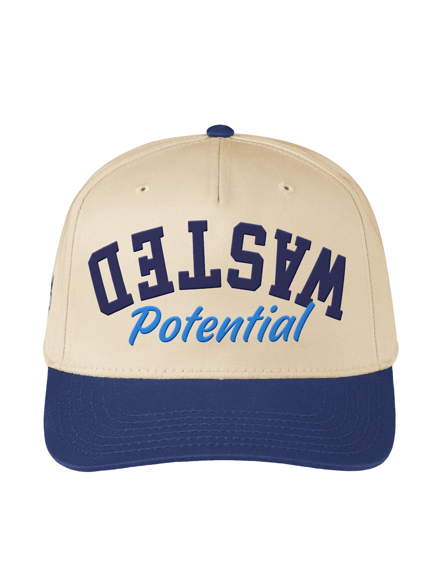 Upside Down Wasted Potential Hat product image (1)