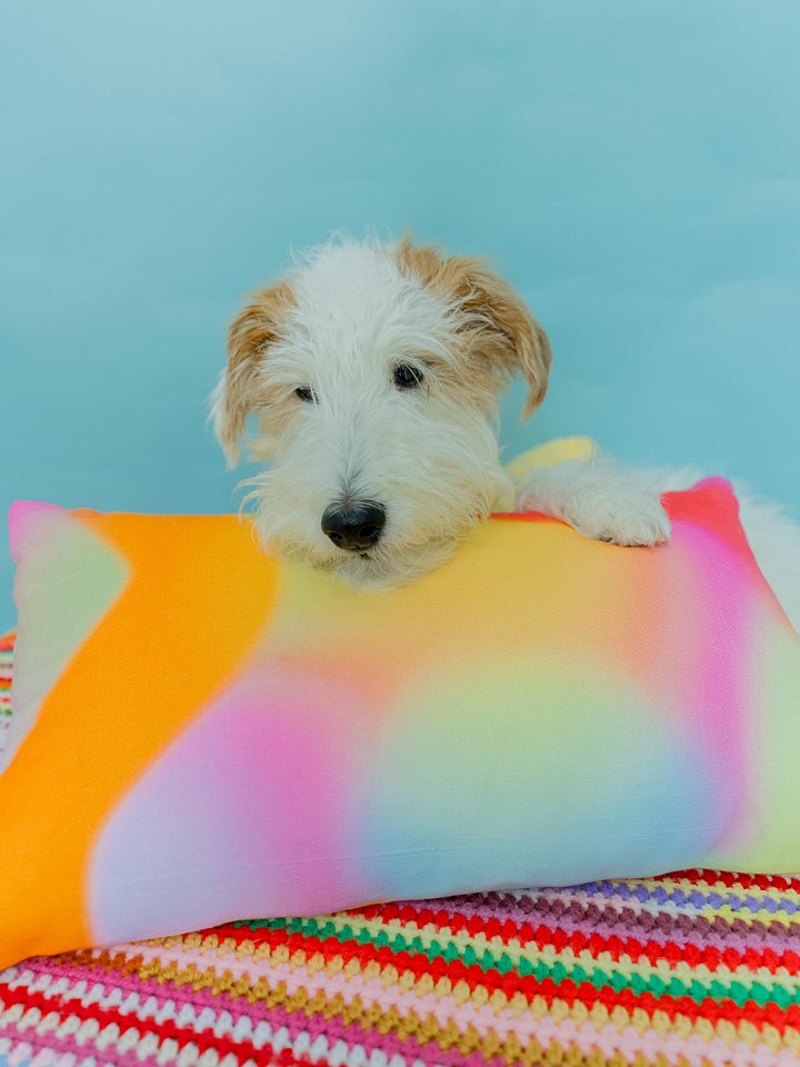 Colorful Duo Pillow product image (1)