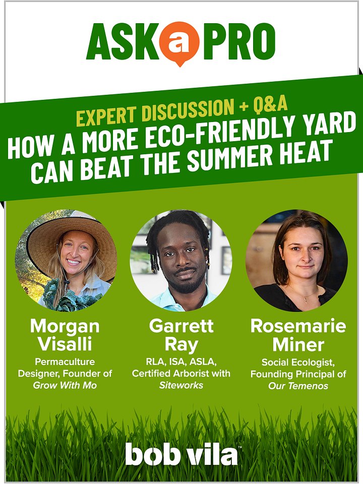 How a More Eco-Friendly Yard Can Beat the Summer Heat product image (1)
