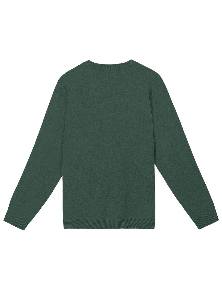 Holiday Joob Sweater product image (10)