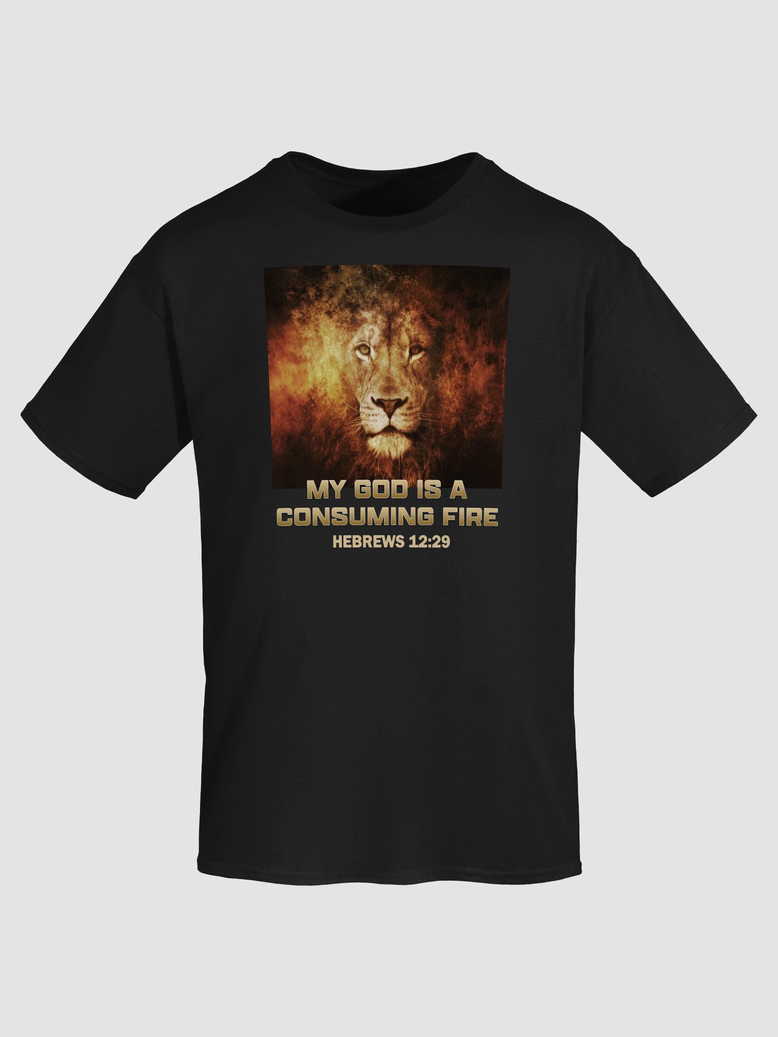 My God Is A Consuming Fire T-Shirt product image (1)