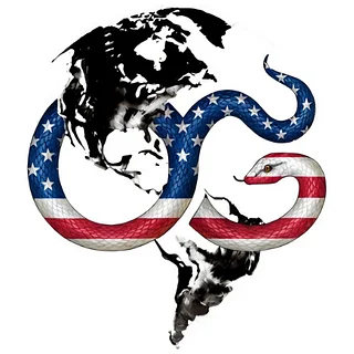 Our Gadsden Flag