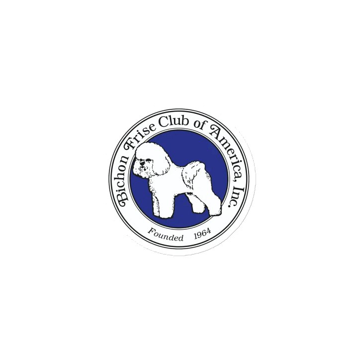 BFCA Magnet product image (1)