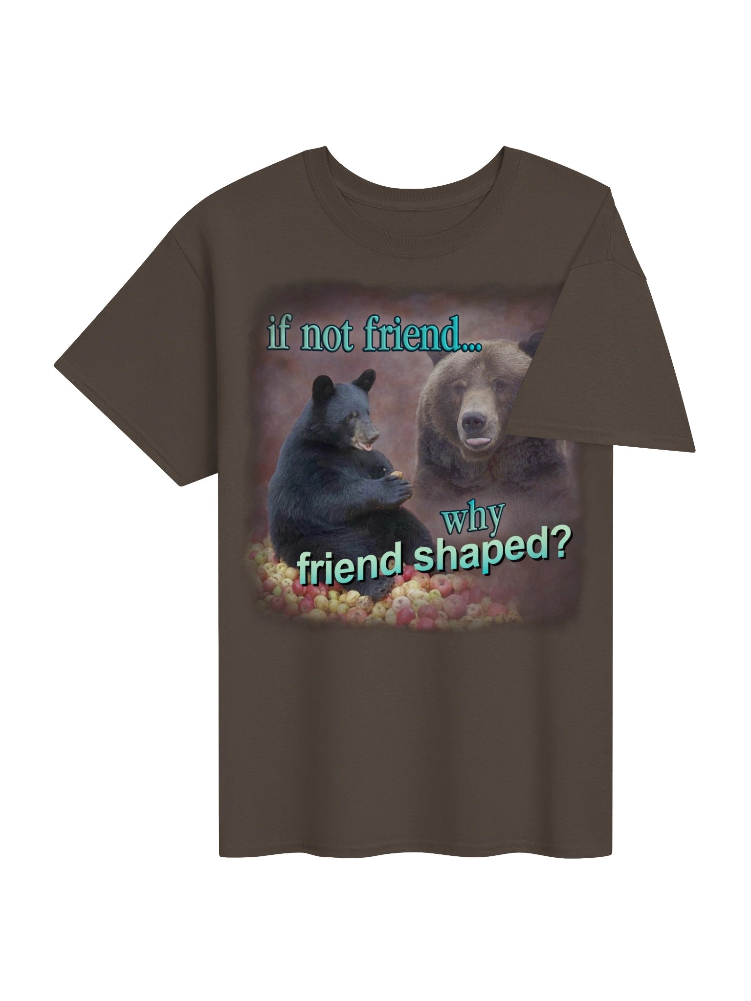 If Not Friend, Why Friend Shaped Bear T-shirt product image (4)