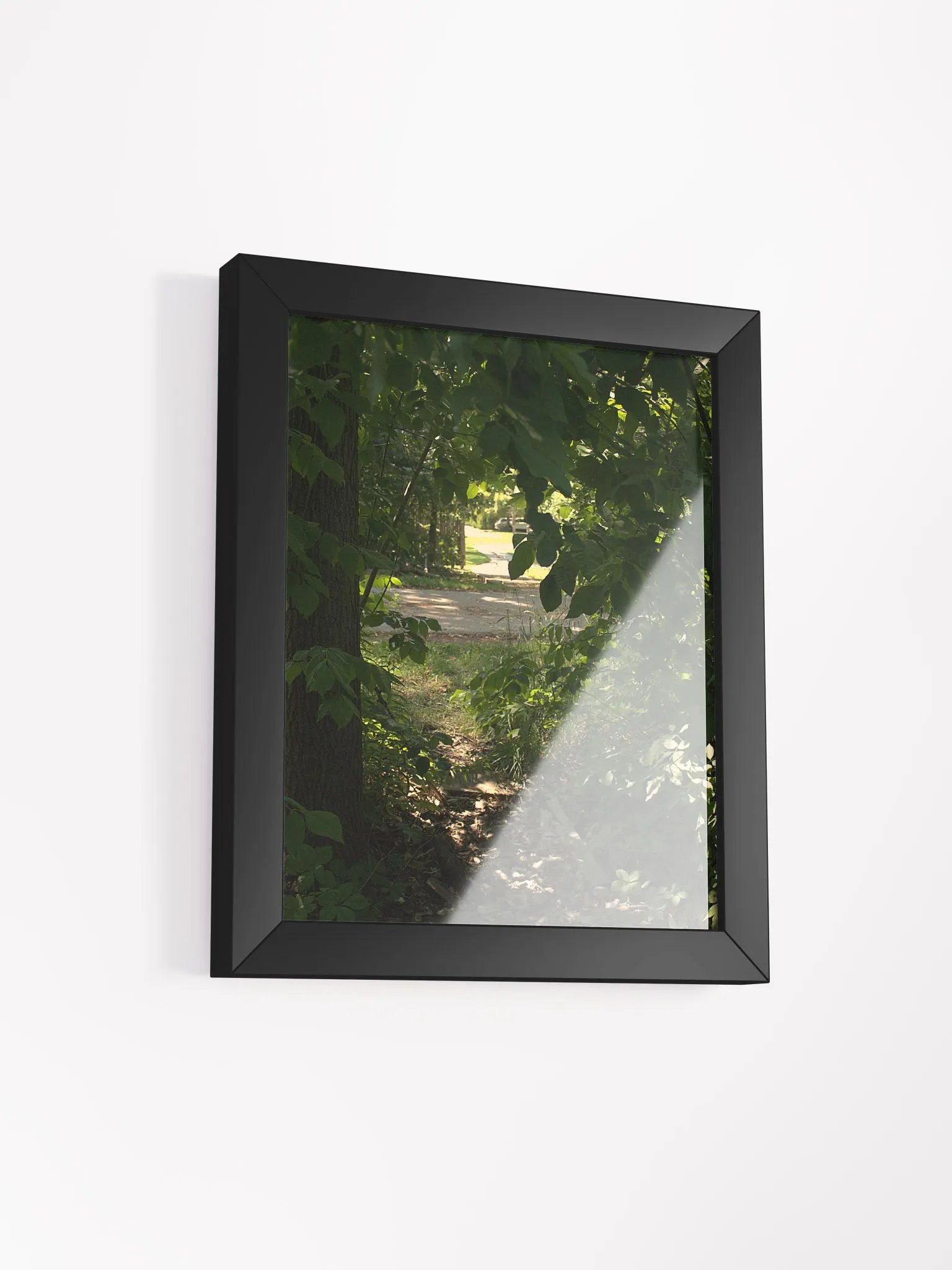 Nature Surrounded (framed) product image (9)
