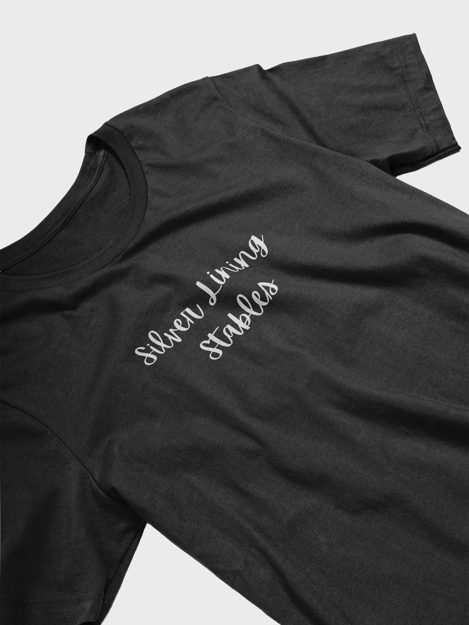 SLS Bella+Canvas T-Shirt product image (15)